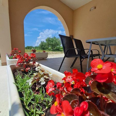 Apartman Darija 2 Podstrana Zewnętrze zdjęcie
